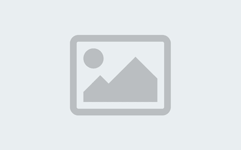 Hosting and Domain